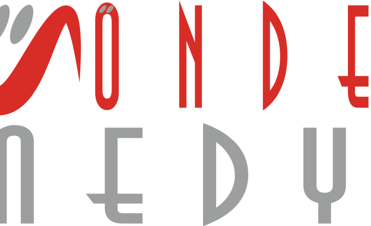 önder medya